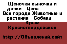 Щеночки-сыночки и дочки › Цена ­ 30 000 - Все города Животные и растения » Собаки   . Крым,Красногвардейское